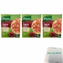 Knorr Fix Tomaten Bolognese 3er Pack (3x46g Beutel) + usy Block