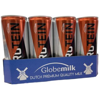 Globemilk Protein Drink Choco 12 x 0,25l Dose