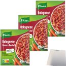Knorr Fix Bolognese unsere Beste 3er Pack (3x38g Beutel) + usy Block