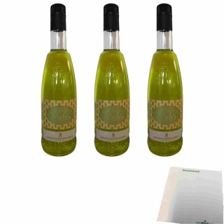 Sabores Extremenos Licor de Melon 17% 3er Pack (3x0,7l Flasche Melonenlikör) + usy Block