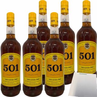 Carlos y Javier  de Terry 501 30% 6er Pack (6x1l Flasche Brandy aus Spanien) + usy Block