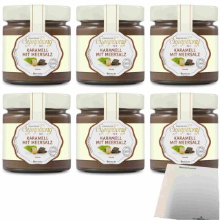 Brinkers Chocolate Symphony No 5 Schokolade & Karamell mit Meersalz Creme 6er Pack (6x200g Glas) + usy Block