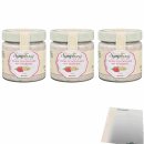 Brinkers Chocolate Symphony No 10 Weisse Schokolade mit Erdbeere Creme 3er Pack (3x200g Glas) + usy Block