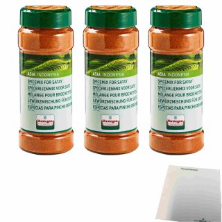 Verstegen Kruidenmix voor Sate met Zout 3er Pack (3x415g Dose Gewürzmischung für Saté mit Salz) + usy Block