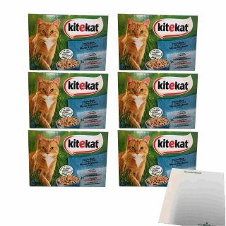 Kitekat Multipack Fisch-Box in Gelee 6er Pack (72x100g Packung) + usy Block