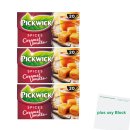 Pickwick Schwarztee mit Karamell-Vanille 3er Pack (3x 20x1,5g Teebeutel) + usy Block