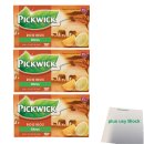 Pickwick Tea Rooibos Citrus no caffeine 3er Pack (3x 20x1,5g Teebeutel) + usy Block