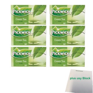 Pickwick Green Tea Pure Grüner Tee 6er Pack (6x 20x1,5g Teebeutel) + usy Block