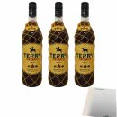 Terry Centenario 30% vol. 3er Pack (3x1l Flasche Brandy aus Spanien) + usy Block