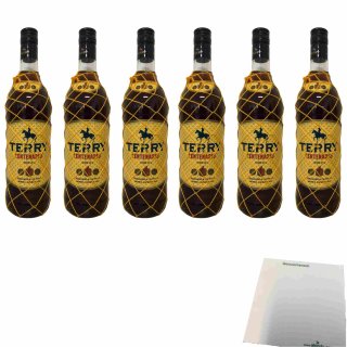 Terry Centenario 30% vol. 6er Pack (6x1l Flasche Brandy aus Spanien) + usy Block