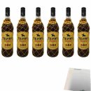 Terry Centenario 30% vol. 6er Pack (6x1l Flasche Brandy aus Spanien) + usy Block
