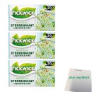 Pickwick Sterrenmunt Teemischung 3er Pack (3x 20x2g Teebeutel) + usy Block