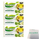 Pickwick Herbal Spijsvertering 3er Pack (Verdauungs-...