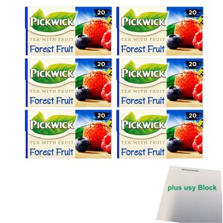 Pickwick Tea with fruit Forest fruit, Waldfrucht 6er Pack (6x 20x1,5g Teebeutel) + usy Block