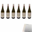 Bodegas Martin Codax Albarino Rias Baixas 12,5% vol 6er Pack (6x0,75l Flasche Weißwein) + usy Block