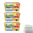 Pickwick Fruit Fusion Variation Box 3er Pack (3x 4x Früchte Mix, 31,5g) + usy Block