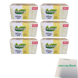 Pickwick White Tea Zitrone, Blüte, Minze 6er Pack (6x 20x1,5g) + usy Block