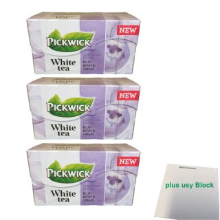 Pickwick White Tea Blaubeere & Ingwer 3er Pack (3x 20x1,5g) + usy Block