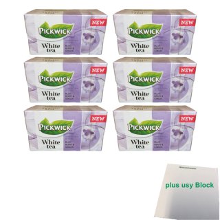 Pickwick White Tea Blaubeere & Ingwer 6er Pack (6x 20x1,5g) + usy Block