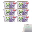 Pickwick White Tea Blaubeere & Ingwer 6er Pack (6x...