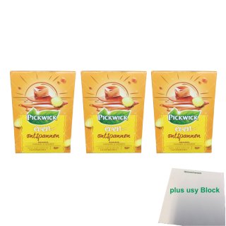 Pickwick even... entspannen Rooibos Karamel & Gember (Rotbuschtee mit Karamell & Ingwer 3er Pack, 3x 15x1,5g Teebeutel) + usy Block