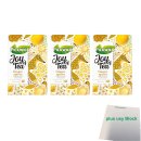 Pickwick Joy of Tea Ginger Spices 3er Pack (3x 15x1,75g...