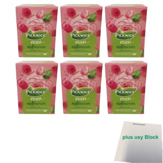 Pickwick even... Opfleuren Grüner Tee mit Rosenblättern & Himbeere 6er Pack (6x 15x1,5g Teebeutel) + usy Block