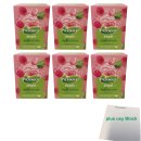 Pickwick even... Opfleuren Grüner Tee mit...