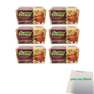 Pickwick Schwarztee Autumn Storm mit Apfel & Zimt 6er Pack (6x 20x2g Teebeutel) + usy Block