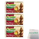 Pickwick Minty Morocco Marokkanische Minze Tee 3er Pack (3x 20x2g Teebeutel) + usy Block