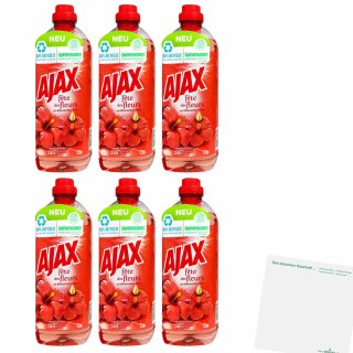 Ajax Allzweckreiniger Hibiskusblüten 6er Pack (6x1l Flasche) + usy Block