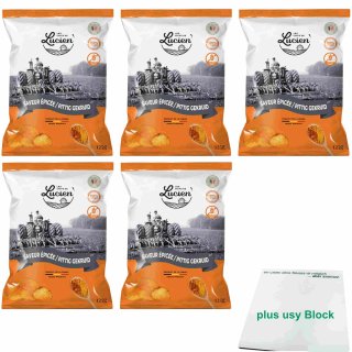 Les Chips de Lucien scharf gewürzt 5er Pack (5x125g Beutel) + usy Block
