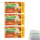 Pickwick Rooibos Original Vorteilspackung Rotbusch Tee 3er Pack (3x 40x1,5g Teebeutel) + usy Block