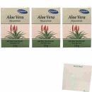 Kappus Aloe Vera Seife 3er Pack (3x125g Packung) + usy Block