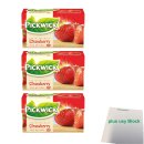 Pickwick Tea with fruit Strawberry 3er Pack (3x Erdbeere 20x1,5g Teebeutel) + usy Block