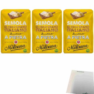 La Molisana Hartweizenmehl "Semola Di Solo Grano Italiano" 3er Pack (3x1kg Packung) + usy Block