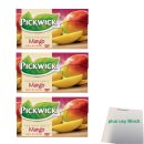 Pickwick Tea with fruit Mango 3er Pack (3x 20x1,5g Teebeutel) + usy Block