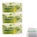 Pickwick Green Tea Matcha Mint Grüner Tee mit Minze 3er Pack (3x 20x1,5g Teebeutel) + usy Block