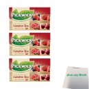 Pickwick Tea with Fruit Variation Box 3er Pack (Waldfrucht, Erdbeere, Himbeere, Kirsche 3x 20x1,5g) + usy Block