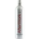 AfterWork Vodka Caramel 18% vol. (0,7l Flasche)