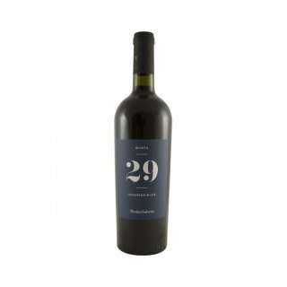 MENHIR-Quota 29 Susumaniello (rot Wein)  14%Vol. (0,75l)