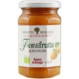 RIGONI - Bio Aprikosen Konfitüre ohne extra Zucker (250g)