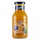 Santal Aprikosensaft (250ml)