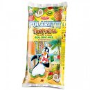 Dolfin Polaretti Tropical Fruit (400ml)