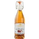 Congedi EVO mit getrockneten Tomaten und Knoblauch (250ml)