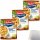 Sonnen Bassermann Rindfleisch-Nudel-Eintopf 3er Pack (3x 800g Dose) + usy Block