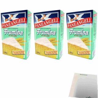 Paneangeli Frumina Amido di Frumento 3er Pack (3x250g Packung Weizenstärke) + usy Block