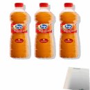 Yoga Succo Albicocca 3er Pack (3x1l Flasche Aprikosensaft) + usy Block
