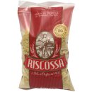 Riscossa Seme Cicoria Nr.73 (500g Pack)