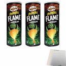 Pringles Flame Medium Kickin Sour Cream 3er Pack (3x160g Dose) + usy Block